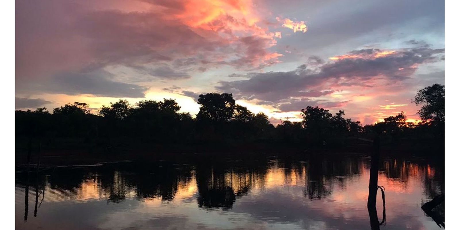 Today is the Day: Cerrado biome, cradle of the waters, is celebrated this Sunday