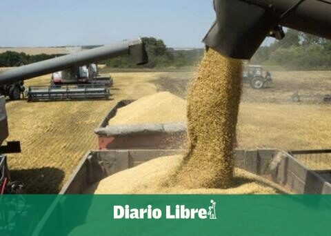 Ukraine exported 1.68 million tons of cereal