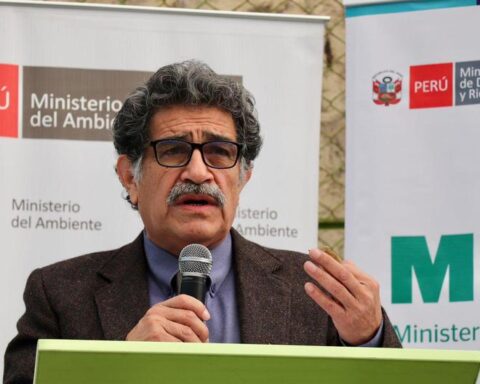 Urea purchase process is still under negotiation with the supplier company, says Minister Alencastre