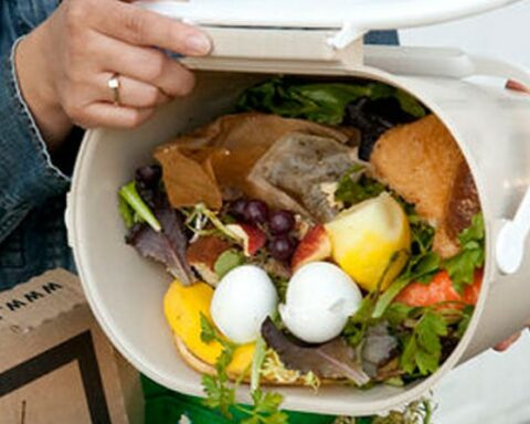 Uruguay joins the fight against food loss and waste promoted by the UN