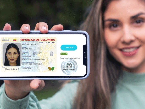 Will the digital ID replace the physical document?