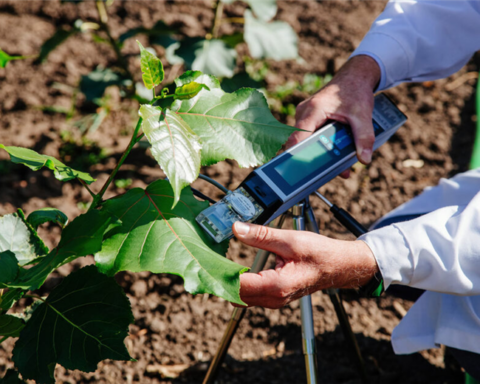 World Bank will help Latin America adapt and combat climate change