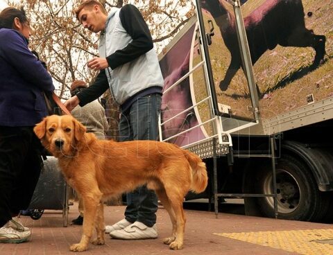 World Rabies Day is commemorated with the focus on its eradication by 2030