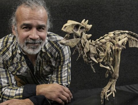 "For paleontology to exist, the efforts of many people and areas are needed."