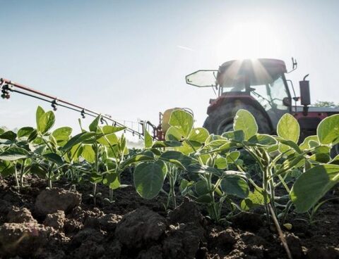 "soybean dollar": agro-exporters entered US$ 3,564 million