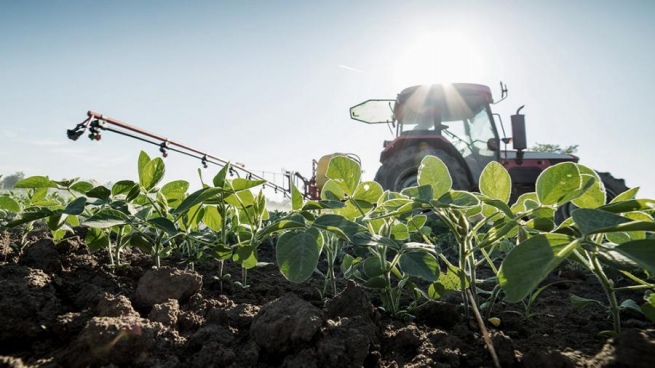"soybean dollar": agro-exporters entered US$ 3,564 million