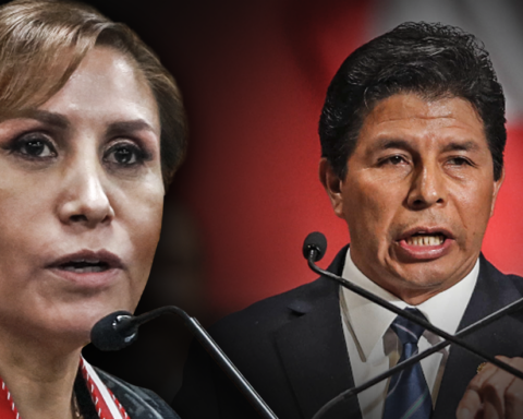 51% support that the National Prosecutor has filed the complaint against Pedro Castillo, according to IEP