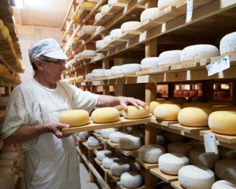 60% of imported cheeses come from the United States