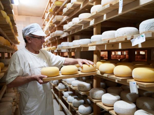 60% of imported cheeses come from the United States