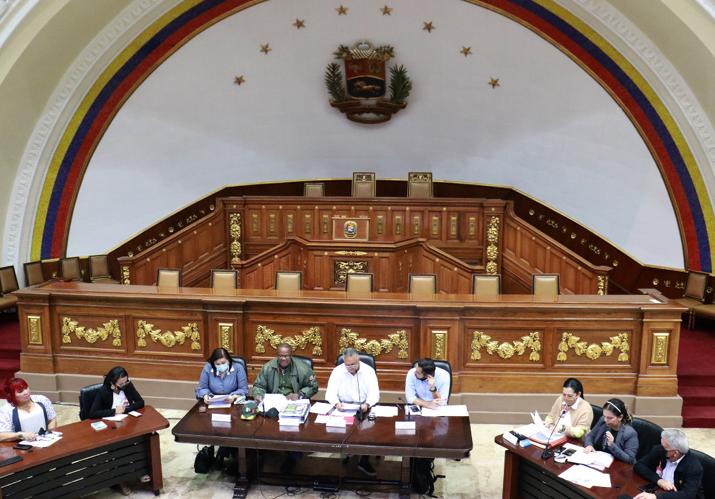 AN prepares second discussion of law that regulates use of the name of Bolívar