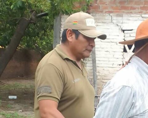 Accused of biocide will go before a judge after confessing that he strangled his cat