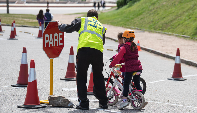 seguridad vial