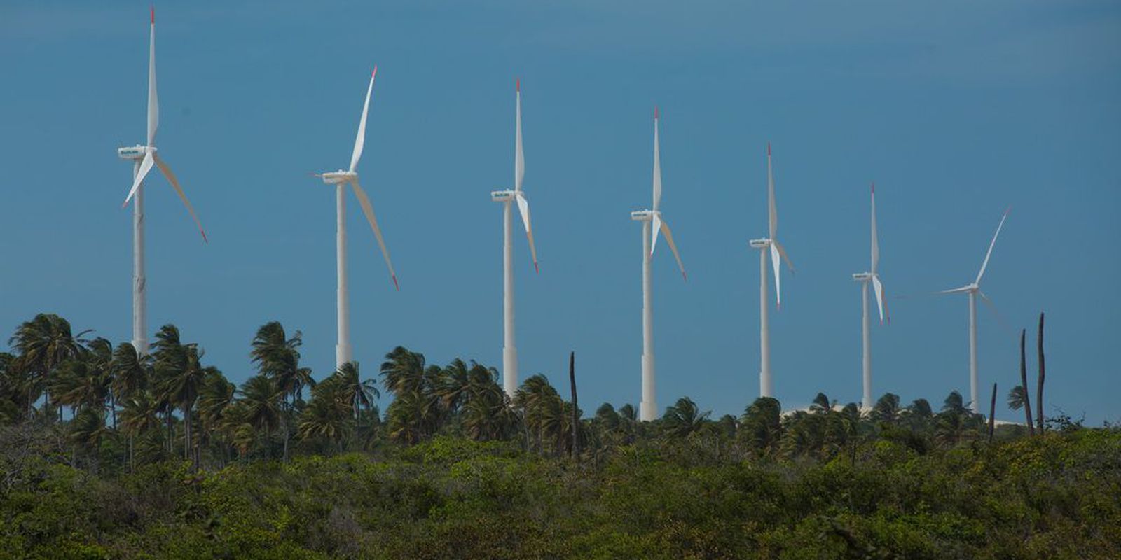 Agência Brasil explains what green hydrogen is