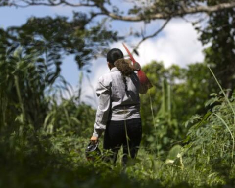 Agrarian reform: Government will no longer buy 3 million ha of land