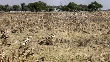 Agriculture warned about the drought and promised "accompany" to the sector