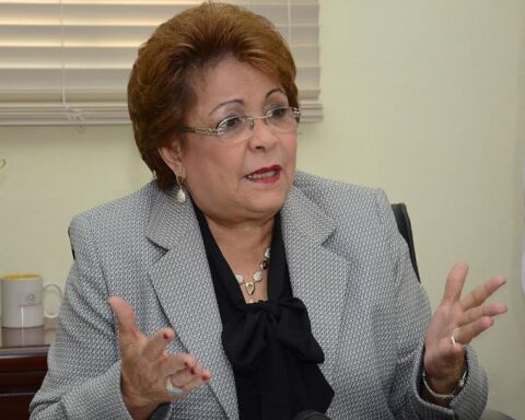 Alejandrina: «No todos los miembros del PLD votarán en consulta»