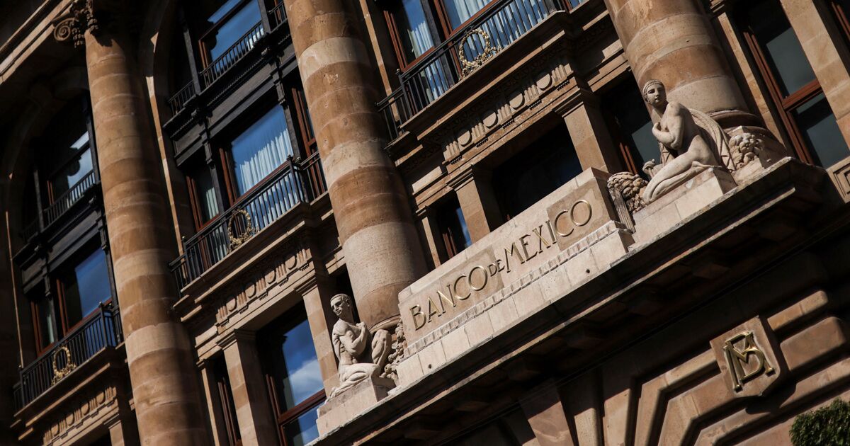 Alejandrina Salcedo is the new Chief Economist of Banxico