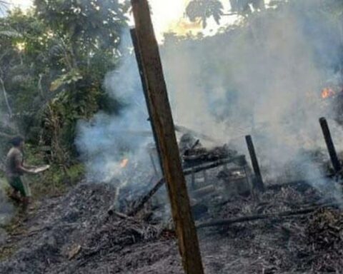 Amazonas: Awajún residents suffer attacks and receive death threats for illegal mining