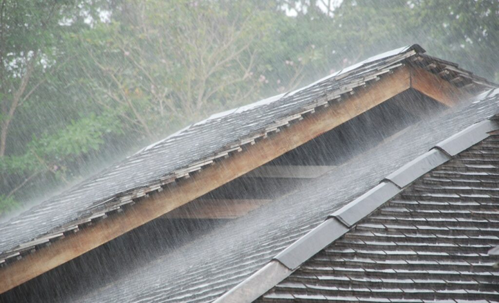 Areas of Colombia where it rains the most: In some it falls 20 times more water than in Bogotá