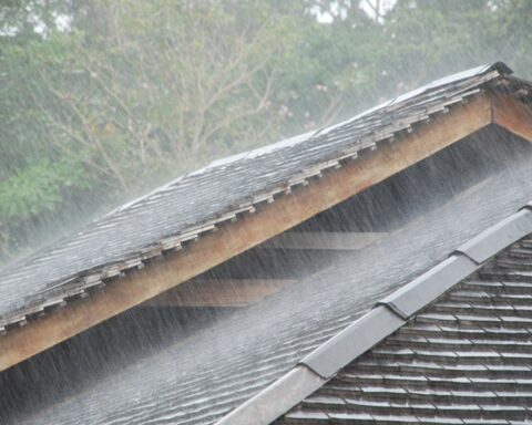 Areas of Colombia where it rains the most: In some it falls 20 times more water than in Bogotá
