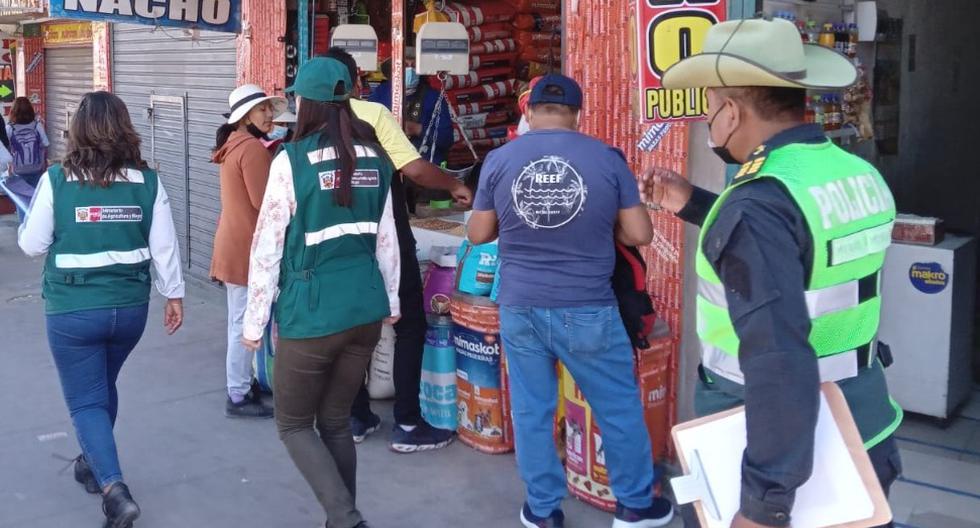 Arequipa: They seize dead animals that were used in rituals (VIDEO)