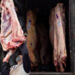 At the request of the provinces, the start of meat cutting was extended for 75 days