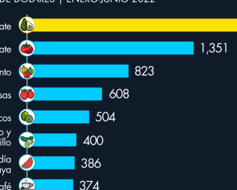 Avocado and tomato from Mexico to the world;  lead exports