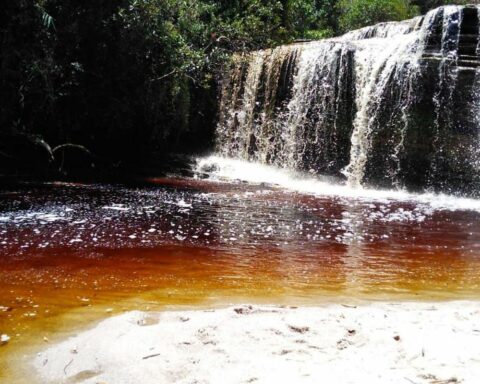 BNDES publishes public notice for the concession of two state parks in MG