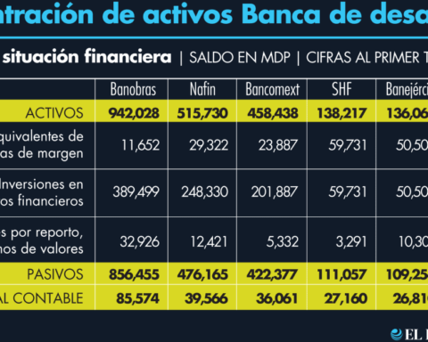 Banobras and Nafin, with the largest participation in development banking