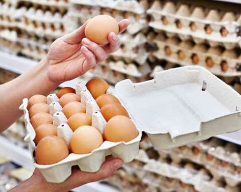Benefits of eating eggs: how much to eat and how good it is for your health