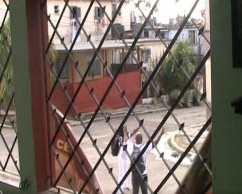 Ángel Moya, Berta Soler, Damas de Blanco