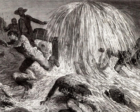 Black gold or devil's excrement?