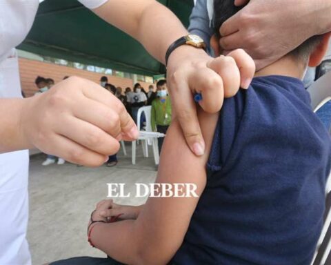 Bolivia registers 96 active cases of monkeypox and 101 recovered;  in addition 67 covid infections