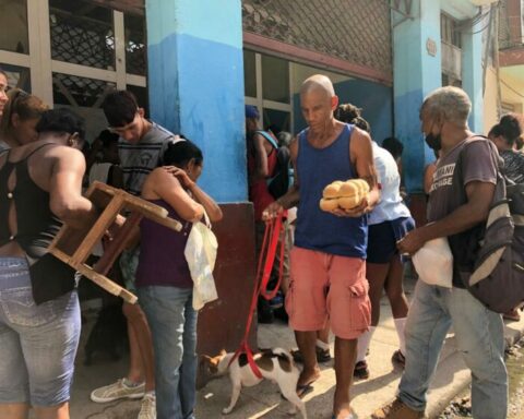 harina, pan, Cuba, Mincin