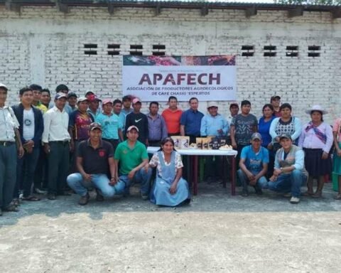 Buena Vista celebrated International Coffee Day with the export of 19,600 kilos of grain to the Netherlands