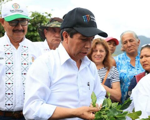 Castillo qualifies the complaint against him as an error: "We are in time to rectify it"