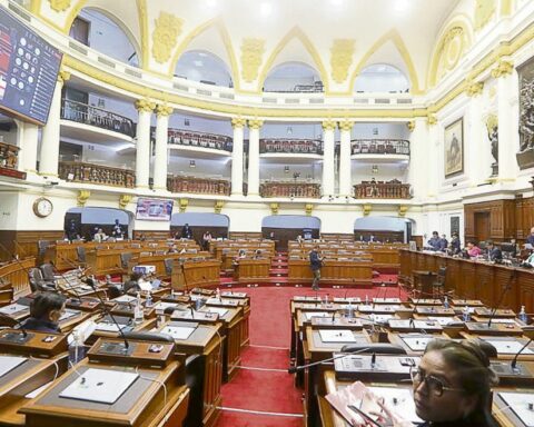 Congress will insist this Wednesday 19 with the election of the new Ombudsman