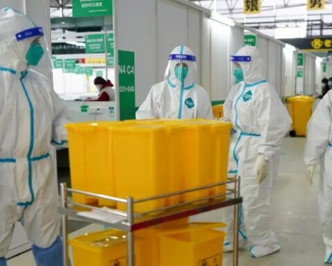 Covid: 6 deaths and 1,117 new cases