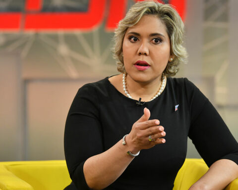 Director of Procompetencia says that she will draw reform of the law