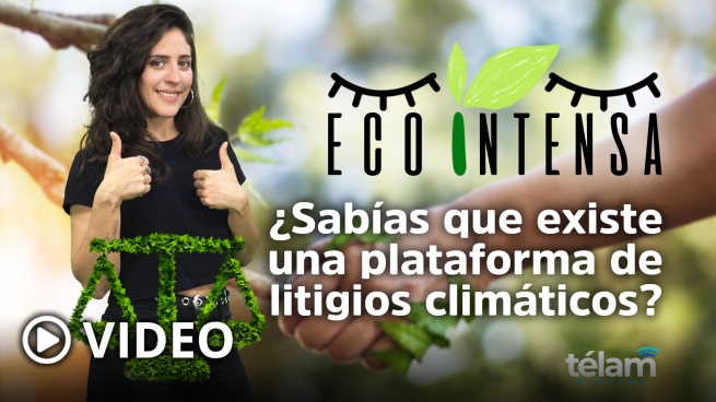 Ecointensa: Did you know that there is a climate litigation platform?