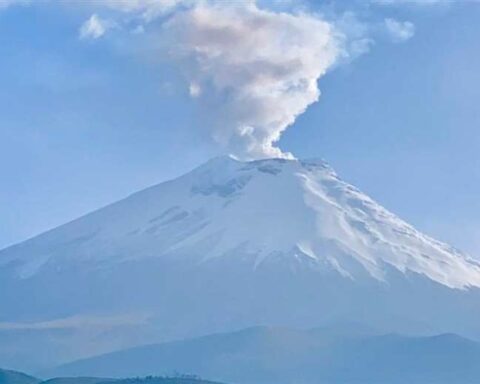 Ecuador declares yellow alert for Cotopaxi volcano activity