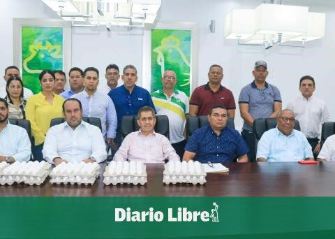 Egg producers ask Abinader to intervene in the crisis