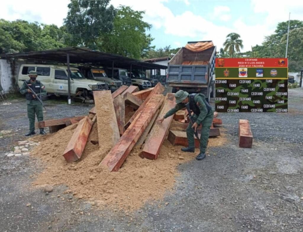 FANB captures a citizen in Táchira for cedar smuggling