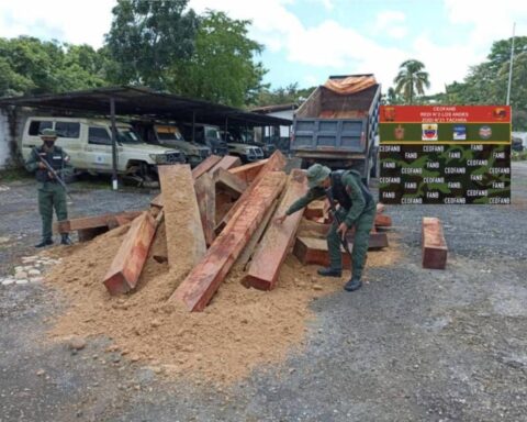 FANB captures a citizen in Táchira for cedar smuggling