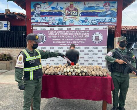 FANB seizes more than 77 kilograms of drugs hidden in tubers