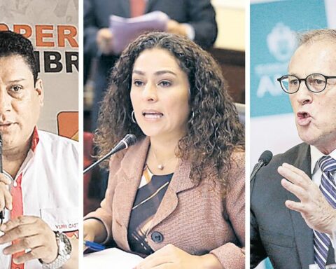 Fed up defeated Peru Libre, Fuerza Popular and Acción Popular