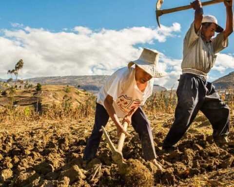 Fertiabono: Minors among the beneficiaries