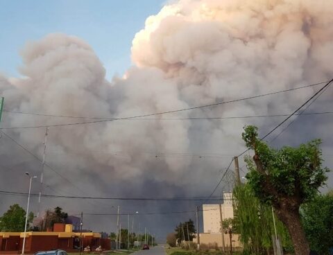 Fires in the Paraná delta: the smoke affects the north and would return to Rosario