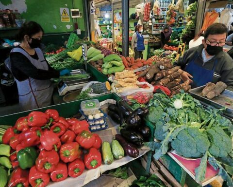 Food prices: What are the products of the basic basket that will continue to rise?