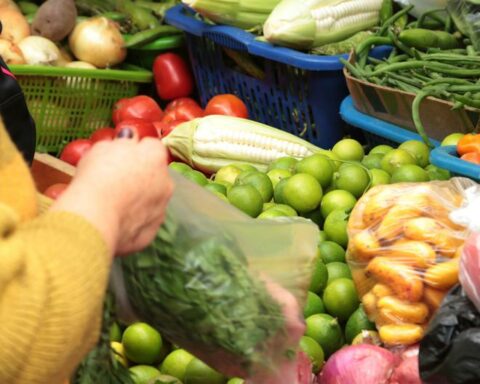 Food: prices of some agricultural products are at risk of rising up to 30% in 2023